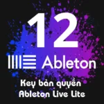 Key bản quyền Ableton Live Lite 12