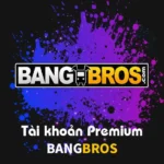 Tài khoản BangBros Premium