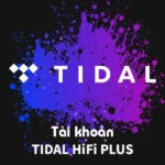 Tài khoản Tidal HiFi Plus