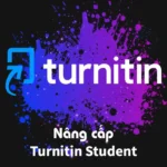 Nâng cấp Turnitin Student