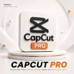 CapCut Pro