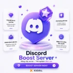 Discord Boost Server