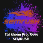 Tài khoản Semrush Guru, Pro