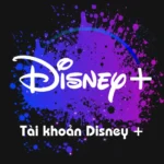 Tài khoản Disney Plus