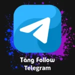 Tăng Follow kênh, nhóm hoặc nhóm chat Telegram