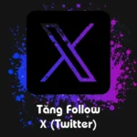 Tăng Follow X (Twitter)